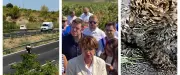 Radar polémique, fonds d'urgence après le mégafeu, panthère de l'Amour