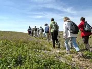 Randonnées pédestres et équestres organisées par Lo Vilatge et le Groupement des randonneurs équestres