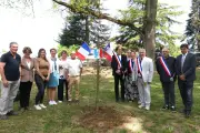 Razimet : Plantation d'un arbre symbolique pour lancer les projets municipaux