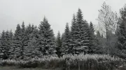 Records de froid dans le Sud-Ouest : -3,6° à Rodez, 5,8° à Sète