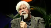 Refus d'asile politique à Paul Watson : la France fait polémique