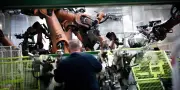 Renault annonce un plan social massif touchant jusqu'à 20% de ses ingénieurs