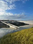 Renault réduit massivement ses effectifs d'ingénieurs pour affronter la concurrence chinoise