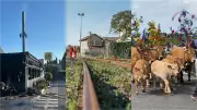 Restaurant détruit, trains supprimés, transhumance : l'actu régionale