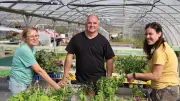 Robin Brants perpétue la tradition agricole avec ses Jardins du Soleil à Pradelaine