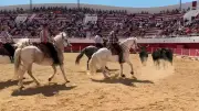 Rodéo camarguais à Palavas : les gardians en piste aux arènes El Cordobès