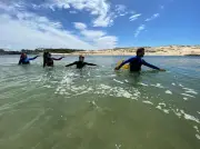 Saint-Georges-d’Oléron accueille le championnat régional de longe-côte ce week-end