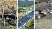 Sangliers à Nîmes, accident sur l’A9, records de froid : l’actu régionale