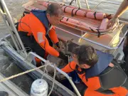 Sauvetage émouvant d'un chevreuil dans la Garonne à Bordeaux