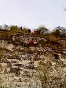 Sauvetage périlleux d'une chienne de chasse sur une falaise en Charente-Maritime