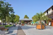 Serres-Castet célèbre le printemps avec une matinée festive et des animations gratuites