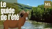 Six idées de soirées inoubliables en Aveyron pour un été réussi