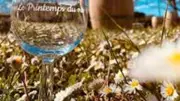 Sixième Printemps du Vin au Triadou : 14 producteurs pour une soirée de dégustation exceptionnelle