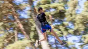 Sélection de sorties en Lozère : arbres, guinguette et contes