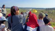 Sortie nature pour les CE2 : découverte de la garrigue et de la Via Domitia