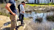 Sérignan s'engage pour la préservation de la ZNIEFF du Clos Marin