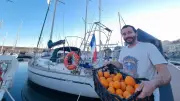 Sète : le transport d'agrumes à la voile renaît entre l'Espagne et l'Occitanie