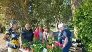Succès du marché aux fleurs et artisanal du club des seniors à Valliguières