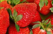 Surproduction de fraises en France : les prix s'effondrent face à la concurrence