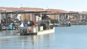 Étang de Thau : les barges conchylicoles exemptées de l'obligation de WC