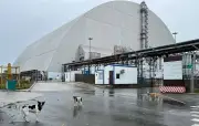 Tchernobyl : 40 ans après, la biodiversité explose dans la zone d'exclusion
