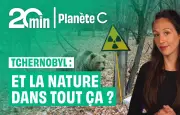Tchernobyl, 40 ans après : la nature résiste et surprend dans la zone radioactive