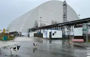 Tchernobyl : 40 ans après, les mystères des chiens mutants et de la radioactivité