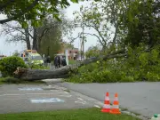 Tempête Diego en Nouvelle-Aquitaine : Retour sur les dégâts d'avril 2022