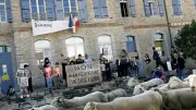 À Tornac, un troupeau de moutons manifeste contre la fermeture d'une classe de CP