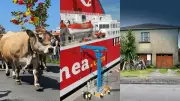 Transhumance, ferry électrique, meurtre : l'actu régionale du jour