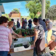 Troc de plantes et atelier tataki zomé à Castaignos-Souslens ce samedi