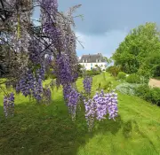 Trois jardins béarnais : des havres de nature à découvrir en Nouvelle-Aquitaine
