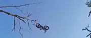 Ukraine : un soldat encerclé s'évade grâce à un vélo électrique livré par drone