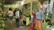 Un marché aux plantes solidaire à Nîmes pour aider une jeune prodige géorgienne