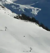 Un ours filmé traversant les pistes de Guzet dans les Pyrénées ariégeoises