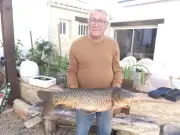 Un retraité capture une carpe record de 82 cm à La Grève-sur-Mignon