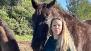 Un salon du bien-être en pleine nature à Loupian, Hérault, avec équithérapie
