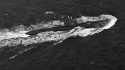 Un sous-marin russe surgit près d'un chalutier breton au large des Côtes d'Armor