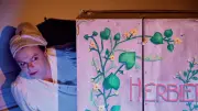 Un spectacle botanique enchanteur pour célébrer la diversité végétale à Mauguio