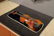 Un Stradivarius spolié par les nazis refait surface en Alsace ?