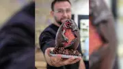 Un œuf de Pâques Stranger Things séduit Montpellier : le Démogorgon en chocolat fait sensation