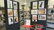 Une exposition artistique dédiée aux chats envahit la bibliothèque de Tavel