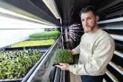 Une ferme urbaine de micropousses s'installe dans un garage à Draguignan