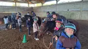 Une semaine inoubliable au contact des poneys pour les élèves de CE1 à Méjannes-le-Clap