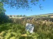 Urgence à l'île d'Aix : travaux de sauvetage des remparts menacés d'effondrement