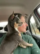 Valérie Gamboretto lance Maison Valérie, une conciergerie innovante pour animaux à Villeneuve-sur-Lot