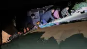 Vandalisme en série contre les jardins partagés de Tellus à Montarnaud
