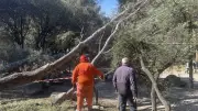 Vent violent dans l'Hérault : un week-end intense pour les secours et bénévoles