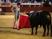 Victor Hernandez, la révélation intransigeante de la tauromachie espagnole