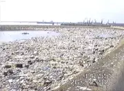 Vidéo de 1992 montre des déchets radioactifs à Chef-de-Baie